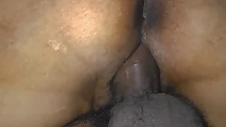 334 passionate sex porn videos